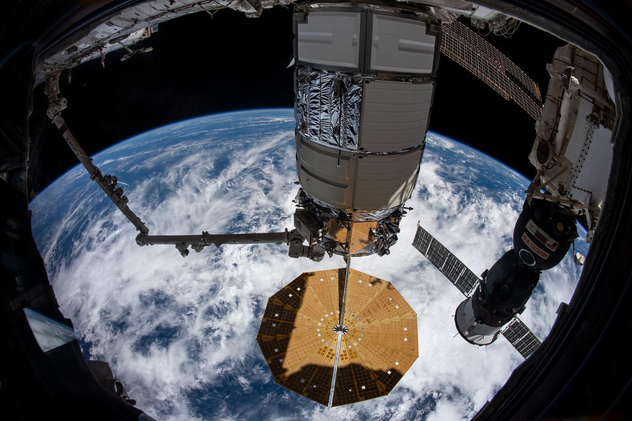 iss065e148960 (June 27, 2021) --- The Cygnus space freighter from Northrop Grumman is pictured in the grip of the Canadarm2 robotic arm while still attached to the International Space Station's Unity module. At right, is the Soyuz MS-18 crew ship docked to the Rassvet module.