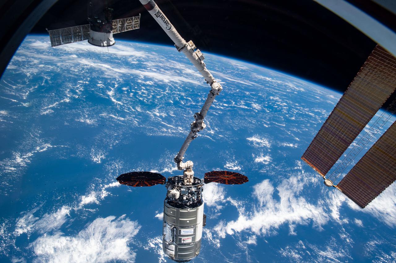 iss065e154164 (June 29, 2021) --- The Cygnus space freighter from Northrop Grumman is pictured in the grip of the Canadarm2 robotic arm moments before its release completing a four-month cargo mission at the International Space Station.