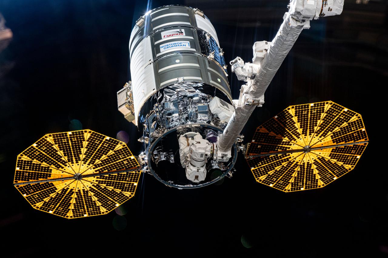 iss065e154213 (June 29, 2021) --- The Cygnus space freighter from Northrop Grumman is pictured in the grip of the Canadarm2 robotic arm moments before its release completing a four-month cargo mission at the International Space Station.