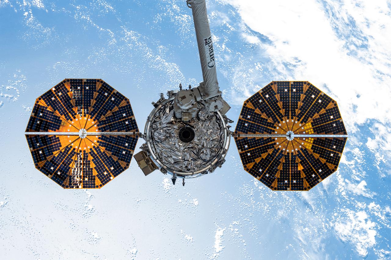 iss065e154219 (June 29, 2021) --- The Cygnus space freighter from Northrop Grumman is pictured in the grip of the Canadarm2 robotic arm moments before its release completing a four-month cargo mission at the International Space Station.