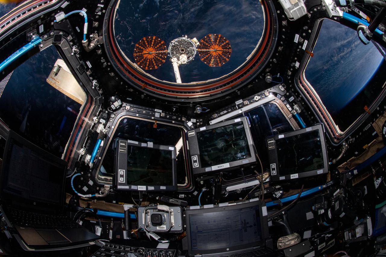 iss065e154254 (June 29, 2021) --- The Cygnus space freighter from Northrop Grumman is pictured in the grip of the Canadarm2 robotic arm outside the cupola, the International Space Station's "window to the world."