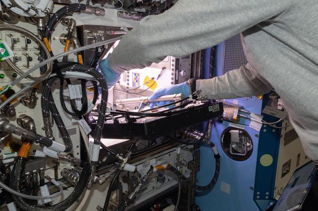 NASA image: Shane Kimbrough kicks off chile pepper experiment on space station