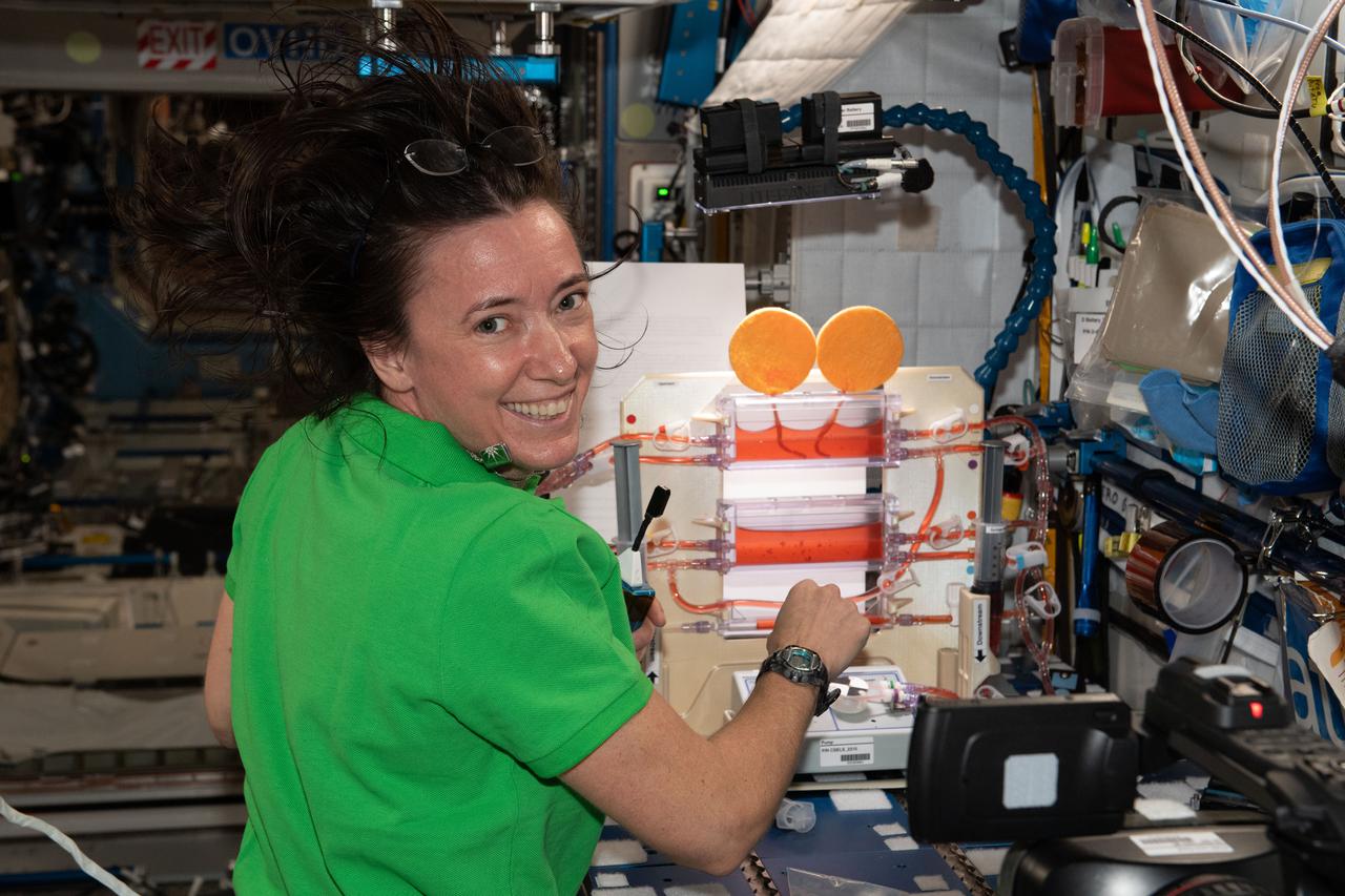 iss065e206774 (July 27, 2021) --- NASA astronaut and Expedition 65 Flight Engineer Megan McArthur works on the Plant Water Management space botany study that explores operating hydroponics in microgravity and may also improve watering systems on Earth.
