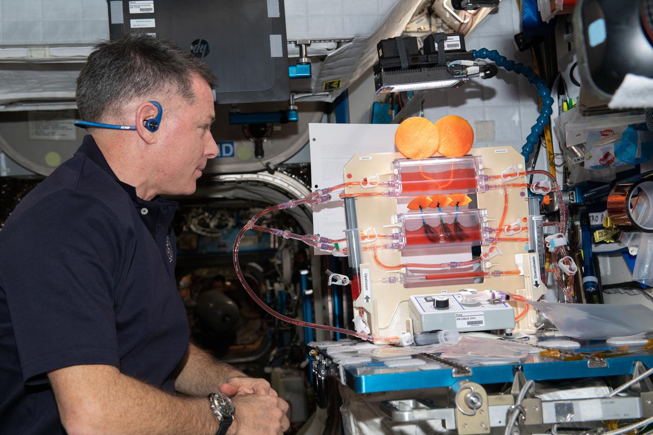 iss065e208539 (July 28, 2021) --- NASA astronaut and Expedition 65 Flight Engineer Shane Kimbrough works on the Plant Water Management space botany study that explores operating hydroponics in microgravity and may also improve watering systems on Earth.