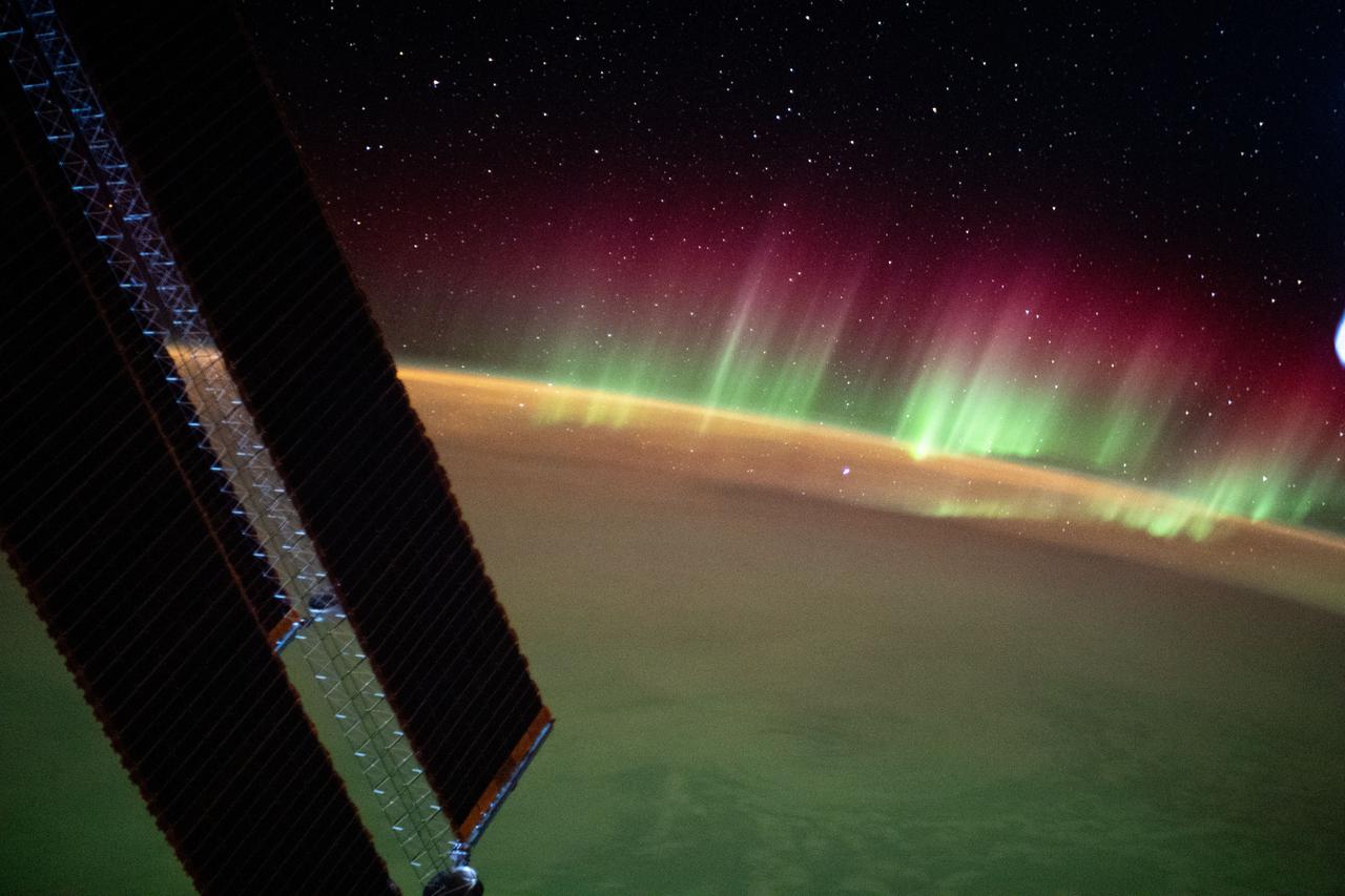 iss065e214251 (Aug. 2, 2021) --- The aurora australis seemingly crowns the Earth's horizon as the International Space Station orbited 272 miles above the southern Indian Ocean in between Asia and Antarctica.