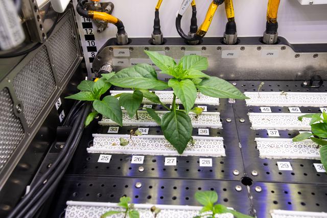 NASA image: iss065e235367