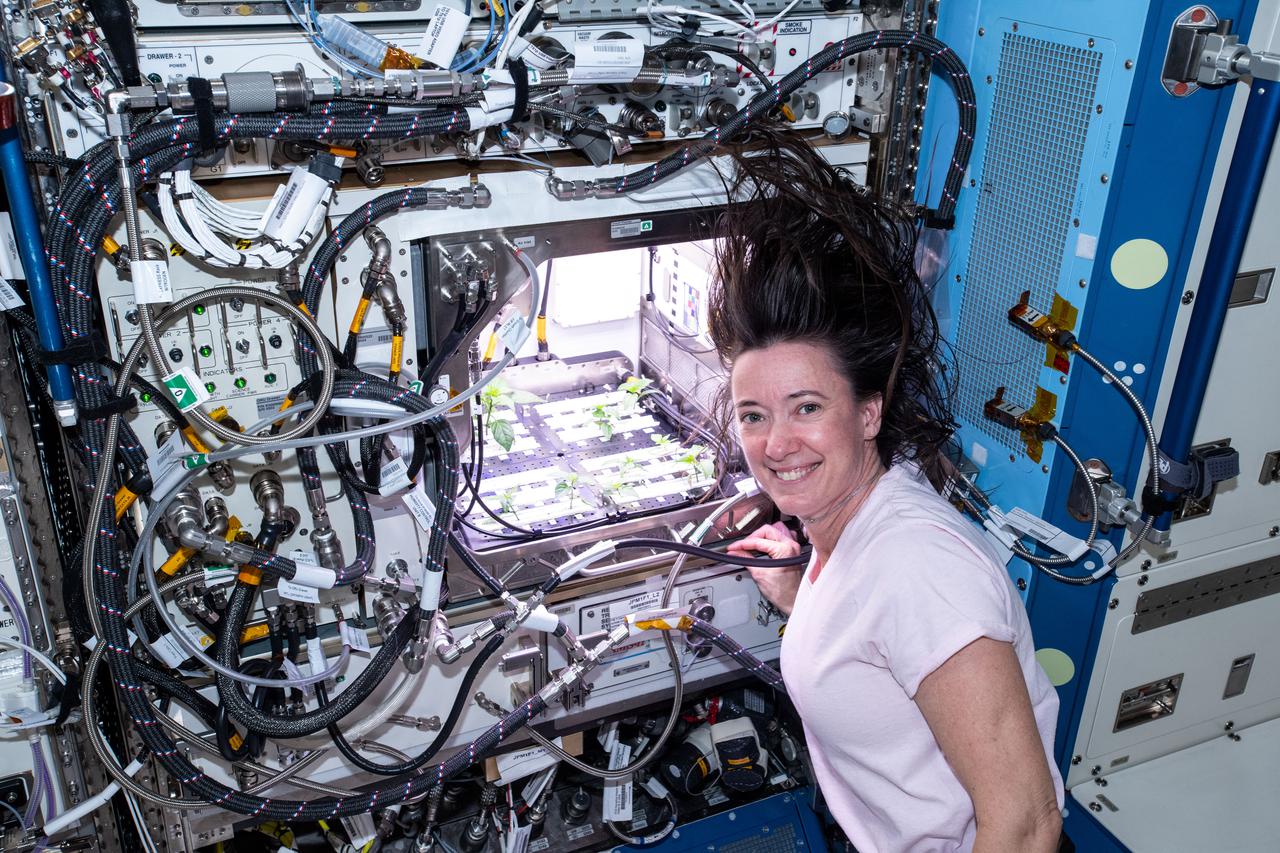 iss065e235377 (Aug. 10, 2021) --- NASA astronaut and Expedition 65 Flight Engineer Megan McArthur checks Hatch chile plants growing for the Advanced Plant Habitat-04 space botany investigation taking place inside the Columbus laboratory module.