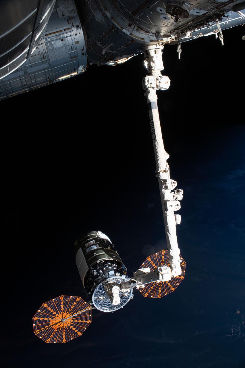 iss065e241403 (Aug. 12, 2021) --- Northrop Grumman's Cygnus space freighter, in the grips of the Canadarm2 robotic arm operated, is remotely maneuvered by ground controllers toward the International Space Station's Unity module where it was installed for three months of cargo operations.