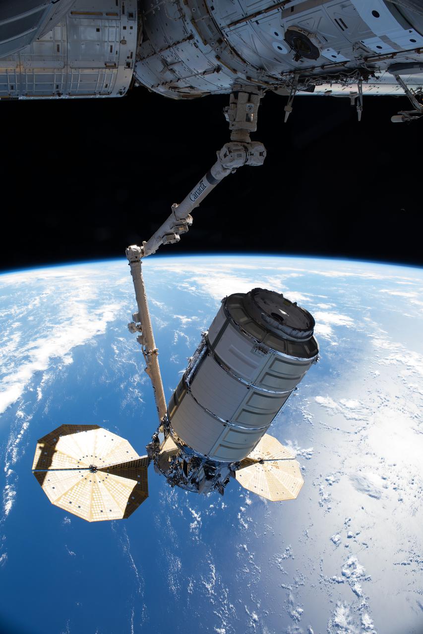iss065e241472 (Aug. 12, 2021) --- Northrop Grumman's Cygnus space freighter, in the grips of the Canadarm2 robotic arm, is remotely maneuvered by ground controllers toward the International Space Station's Unity module where it was installed for three months of cargo operations. The International Space Station was orbiting 261 miles above the Atlantic Ocean near the Caribbean Sea at the time of this photograph.