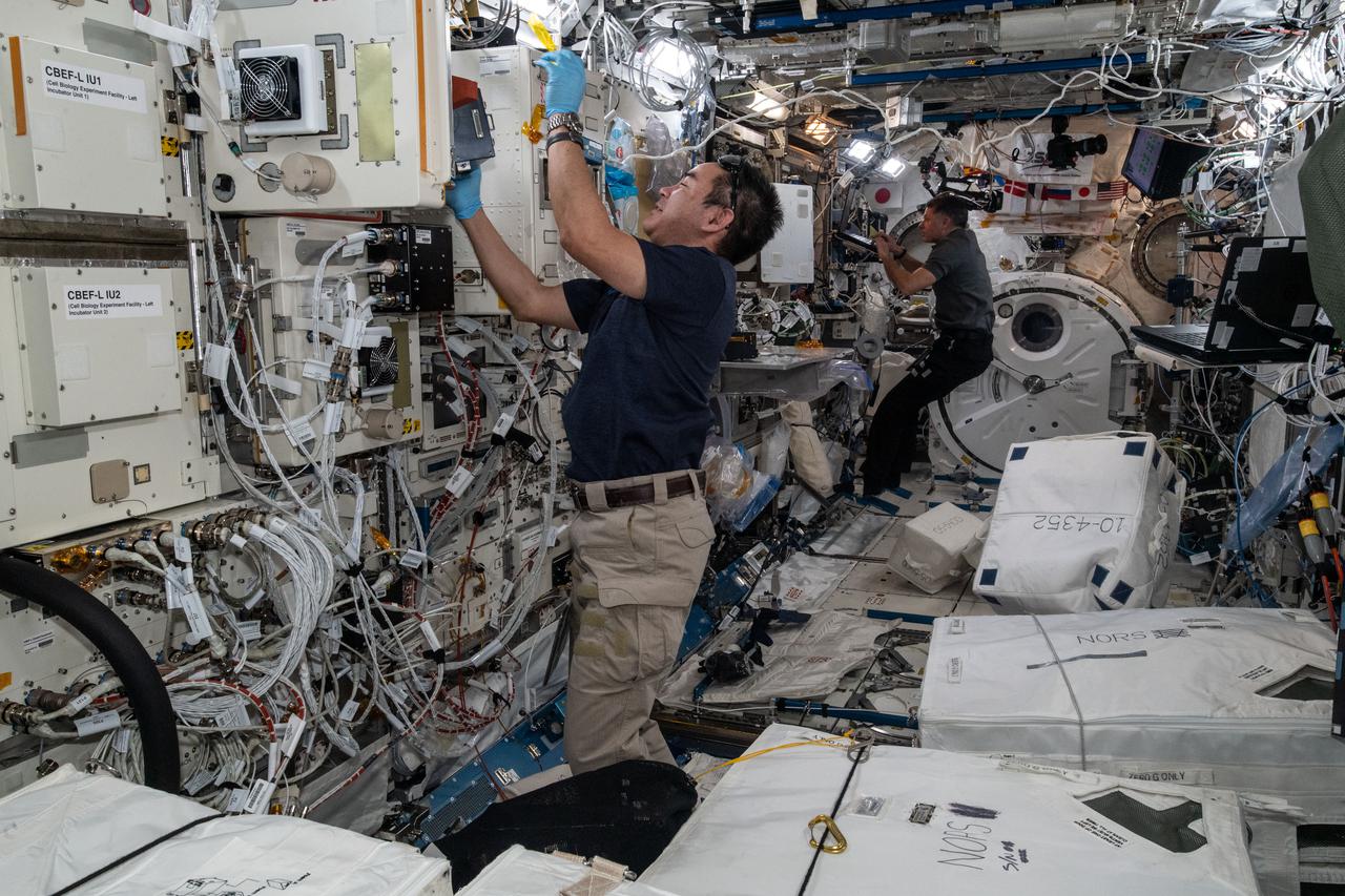 iss065e242201 (Aug. 13, 2021) --- Expedition 65 Commander Akihiko Hoshide of the Japan Aerospace Exploration Agency (JAXA) inserts cell samples into the Kibo laboratory module's Cell Biology Experiment Facility. At the rear of Kibo, NASA Flight Engineer Shane Kimbrough trains to use a miniature electron microscope, called Mochii, to support spectroscopic investigations and analyses of microscopic particles aboard the International Space Station.