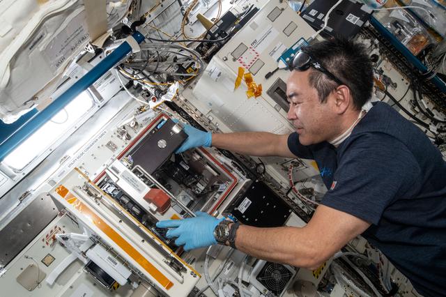 NASA image: Akihiko Hoshide works with Cell Gravisensing samples aboard the International Space Station