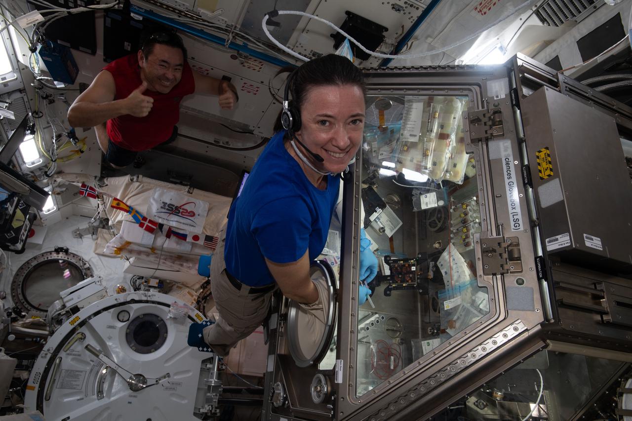 iss065e242460 (Aug. 14, 2021) --- NASA astronaut and Expedition 65 Flight Engineer Megan McArthur works on the Cardinal Muscle investigation in the Life Sciences Glovebox aboard the International Space Station. This study tests whether such engineered tissues cultured in space could provide a model for studying muscle loss and assessing possible therapeutics prior to clinical trials.