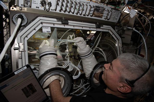 NASA image: iss065e257449