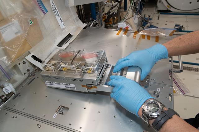 NASA image: iss065e277010