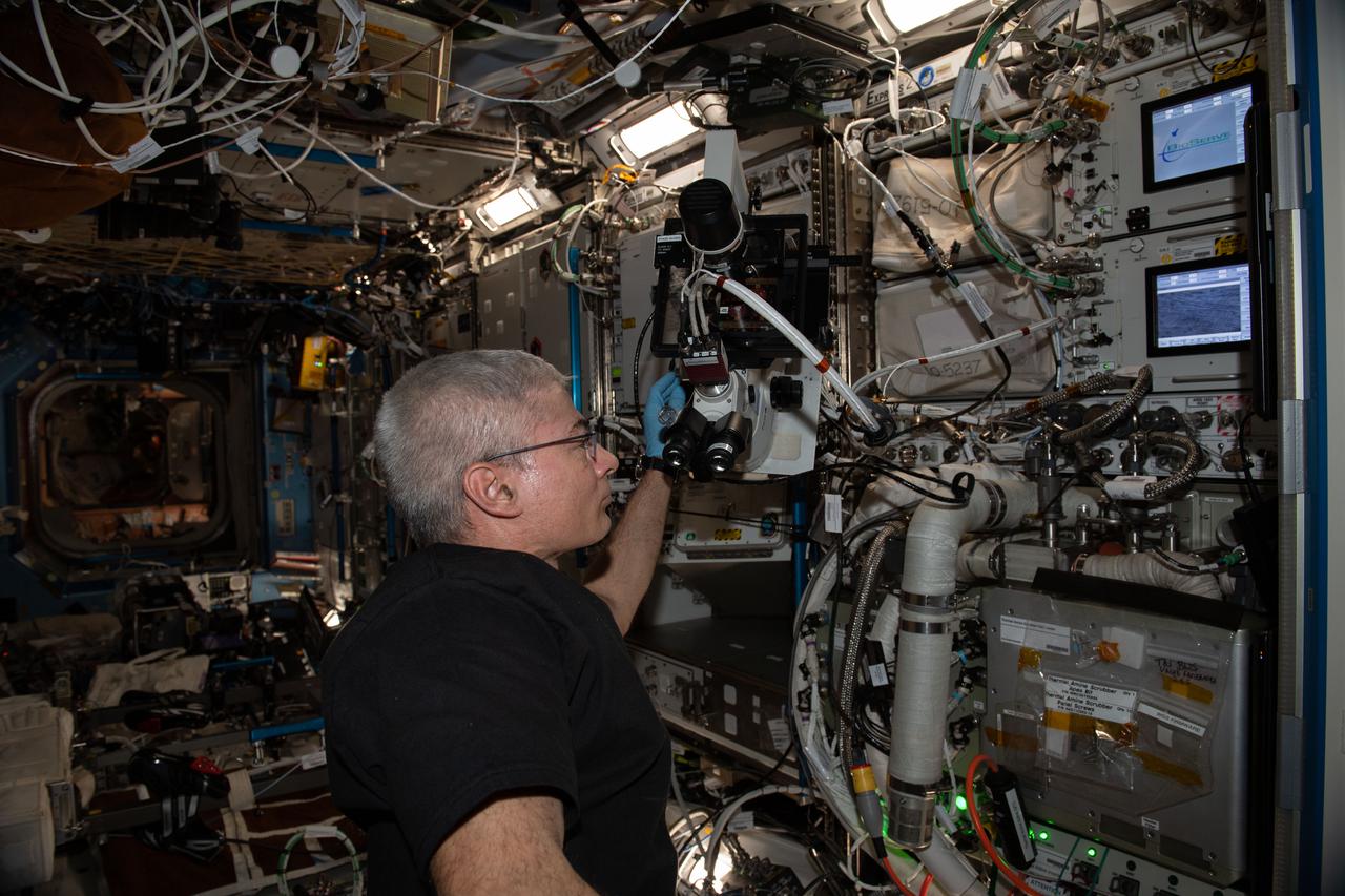 iss065e281836 (Aug. 20, 2021) --- NASA astronaut and Expedition 65 Flight Engineer Mark Vande Hei performs microscopy operations to capture images of the Cardinal Muscle investigation BioCells wells aboard the International Space Station. This study tests whether such engineered tissues cultured in space could provide a model for studying muscle loss and assessing possible therapeutics prior to clinical trials.