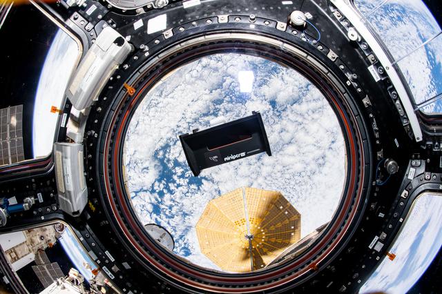 NASA image: Genes in Space 8