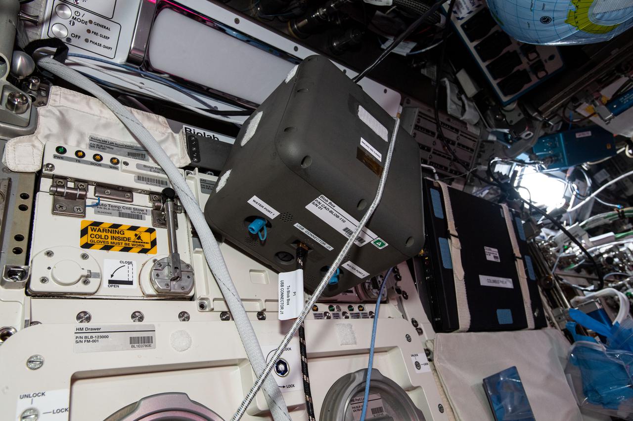 iss065e347815 (9/2/2021) --- A view of the Blob Box aboard the International Space Station (ISS). The goal of the Blob investigation is to observe the influence of microgravity on the Blob’s (a unicellular organism whose scientific name is Physarum polycephalum) behaviour when it explores its environment or when it eats. A ground experiment takes place in schools and the results are compared against the results of the International Space Station conclusions. The final goal is motivate students from France and other European Space Agency (ESA) Member States to study the Biological sciences.