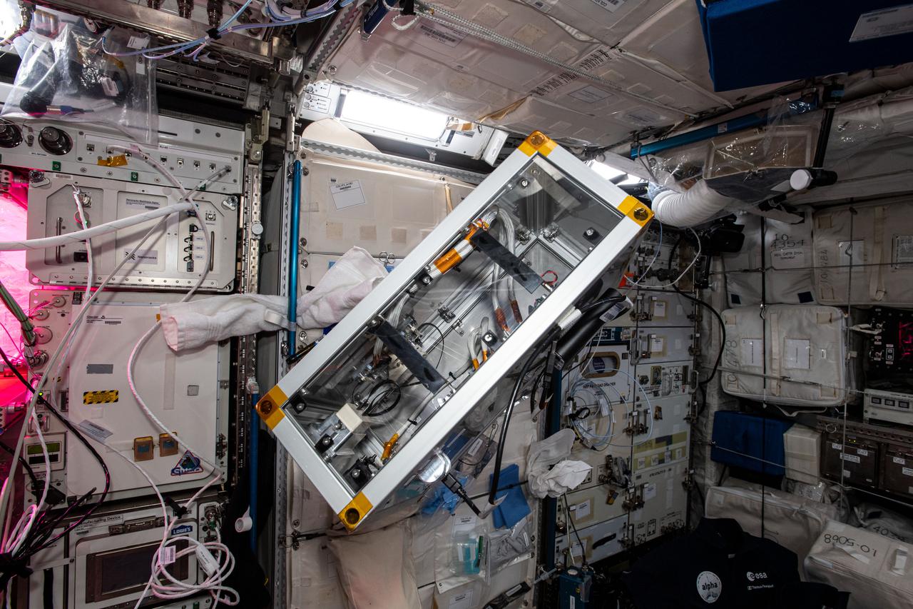 iss065e347847 (9/3/2021) --- A view of the technology Box investigation in the columbus module aboard the International Space Station (ISS). The main objective of Technology Box (Tetr’ISS) is to conduct experiments gathered in support equipment called ‘Platform’, to illustrate science principles based on physics and chemistry. For this mission Tetr’ISS contains the Chladni’s Figures experiment: a physical science experiment to observe the sound waves in 3D thanks to fine particles organized according to nodes and antinodes.