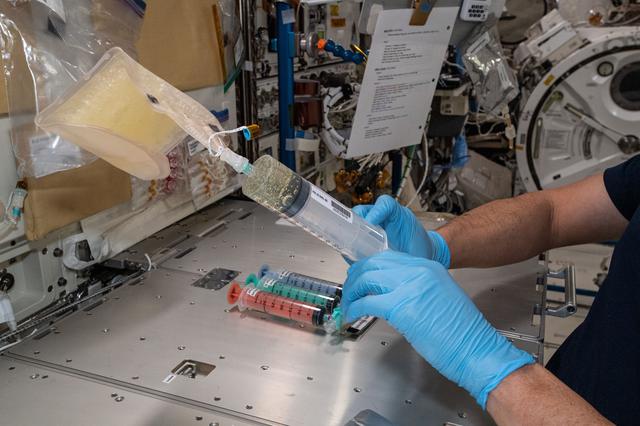 NASA image: iss065e358449