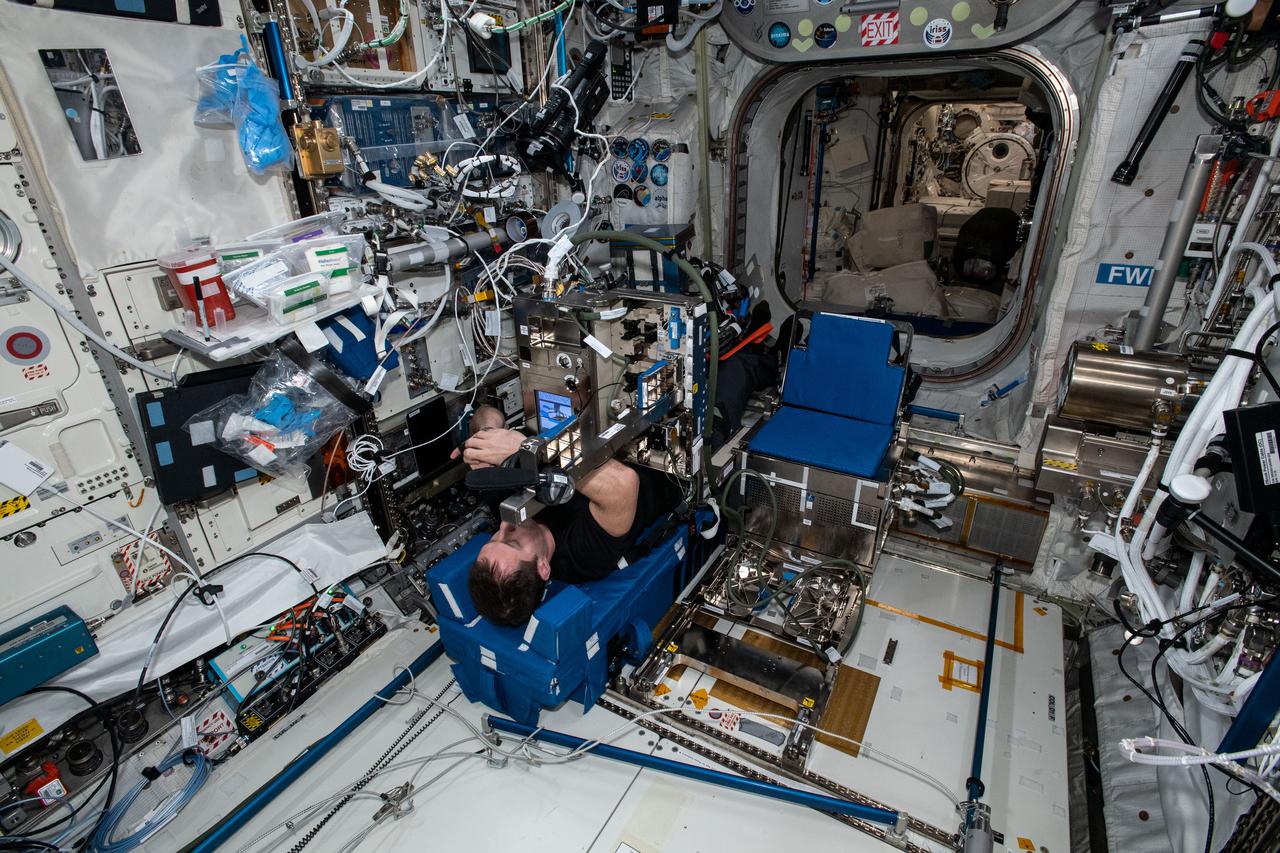 iss065e358682 (Sept. 8, 2021) --- Expedition 65 Flight Engineer Thomas Pesquet of ESA (European Space Agency) is seated in a specialized chair set up inside the International Space Station's Columbus laboratory module for the GRIP human research experiment. By observing how astronauts grip objects and move their arms in microgravity, the experiment may lead to insights for the design and control of spacecraft interfaces of future human missions to the Moon, Mars and beyond.