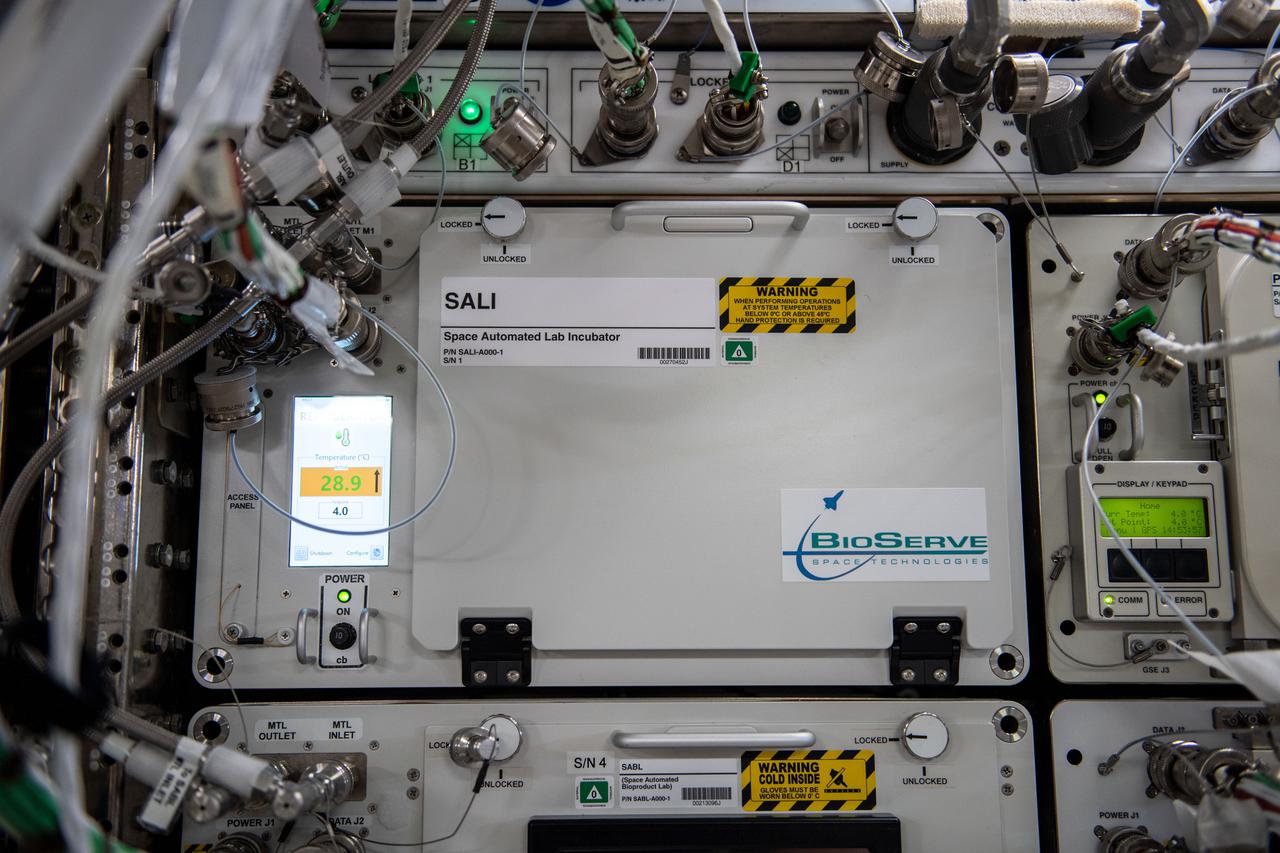 iss065e364696 (9/8/2021) --- A view of the of the SALI 1 unit in the Japanese Experiment Module (JEM) aboard the International Space Station (ISS). The Space Automated Lab Incubator (SALI) supports a wide variety of investigations in the life, physical, and material sciences, focusing on research on biological systems and processes. It provides a 24-liter temperature-controlled chamber ranging from -20.0°C to +48.0°C, continuous maintenance-free operation, and LED lighting. SALI accommodates multiple sample packs or habitats and serves as back-up cold stowage space aboard station.