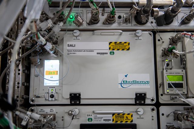 NASA image: iss065e364696