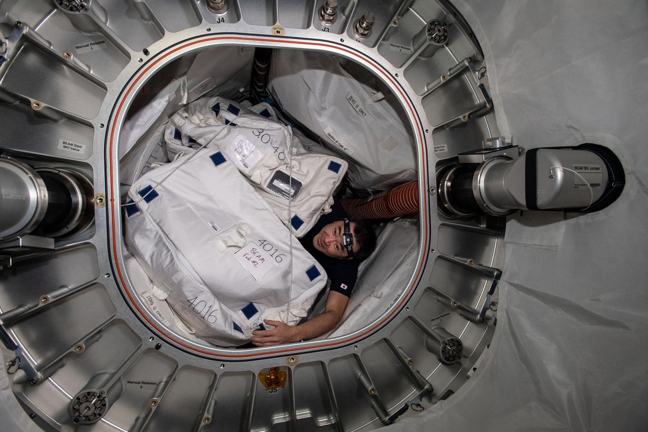 iss065e385759 (Sept. 17, 2021) --- Expedition 65 Commander Akihiko Hoshide of the Japan Aerospace Exploration Agency (JAXA) gathers hardware from inside BEAM, the Bigelow Expandable Activity Module, for transferring into the SpaceX Cargo Dragon and return to Earth.