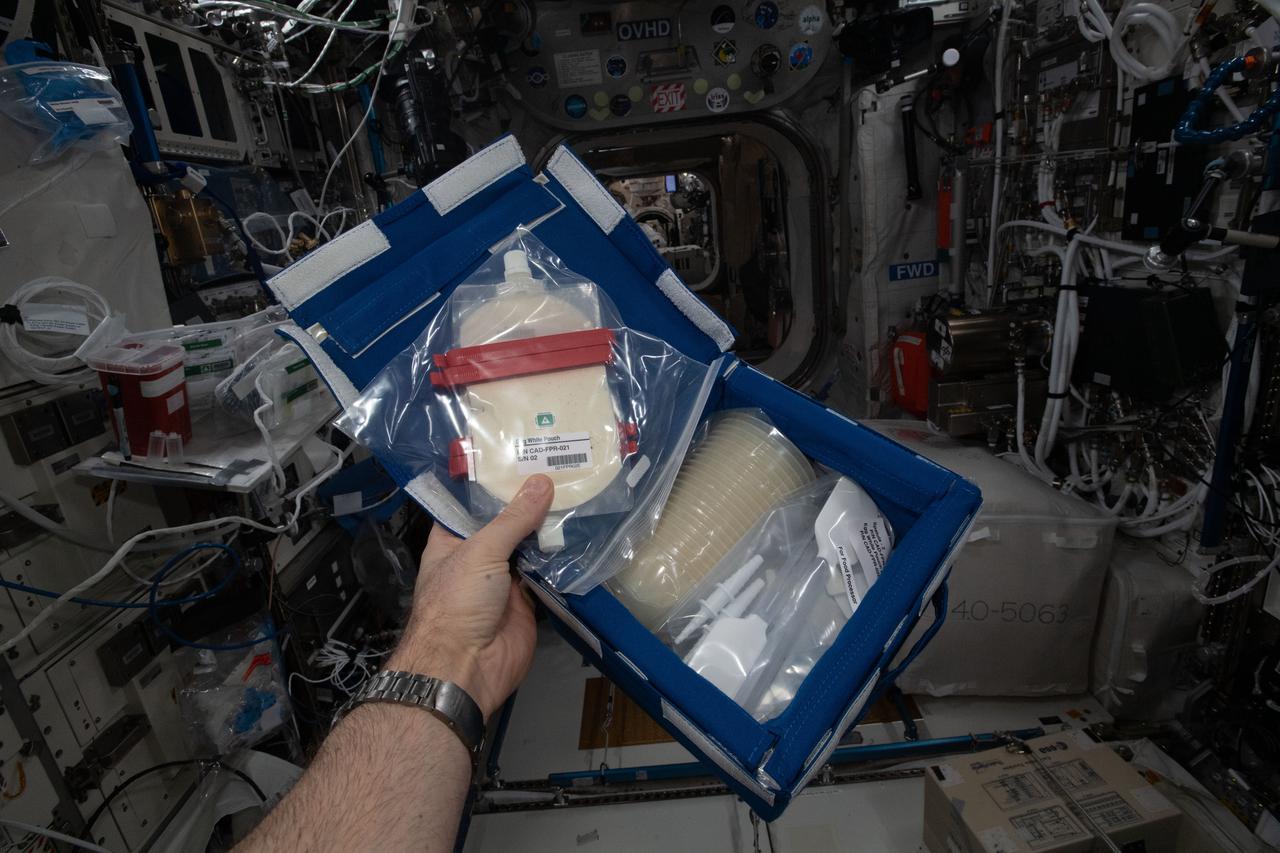 iss065e454854 (10/11/2021) --- A view of the Edible Foam in the Food Processor Consumables Kit aboard the International Space Station (ISS). Edible foam is made from PHA, a naturally occurring polymer synthesized by bacteria. It offers a high level of protection from isolated shocks and vibrations, which is particularly important during flights into space.