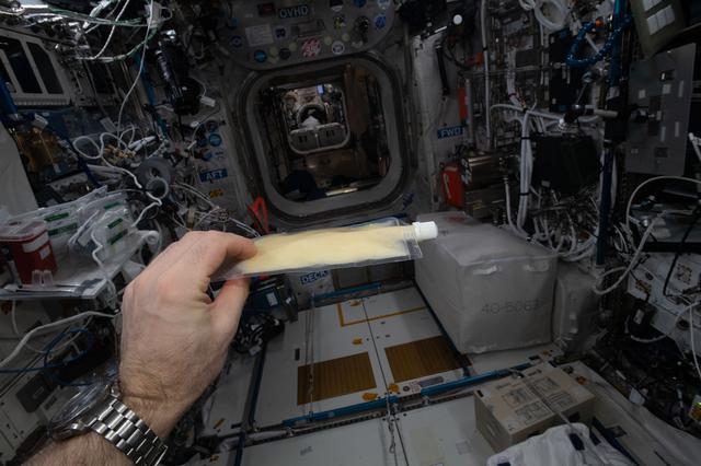 NASA image: iss065e454862