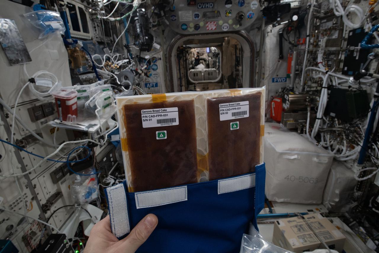 iss065e454878 (10/11/2021) --- A view of the Edible Foam in the Food Processor Consumables Kit aboard the International Space Station (ISS). Edible foam is made from PHA, a naturally occurring polymer synthesized by bacteria. It offers a high level of protection from isolated shocks and vibrations, which is particularly important during flights into space.