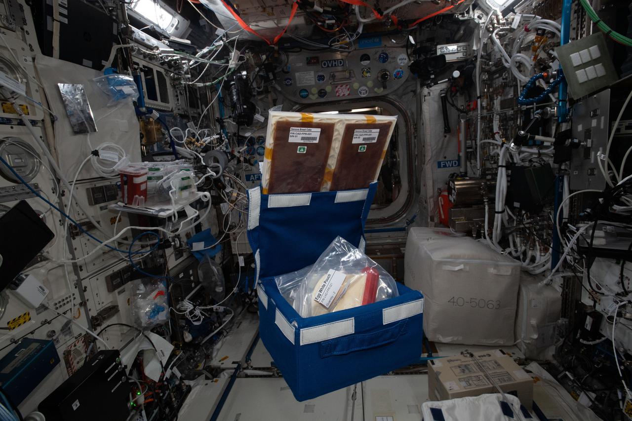 iss065e454902 (10/11/2021) --- A view of the Edible Foam in the Food Processor Consumables Kit aboard the International Space Station (ISS). Edible foam is made from PHA, a naturally occurring polymer synthesized by bacteria. It offers a high level of protection from isolated shocks and vibrations, which is particularly important during flights into space.