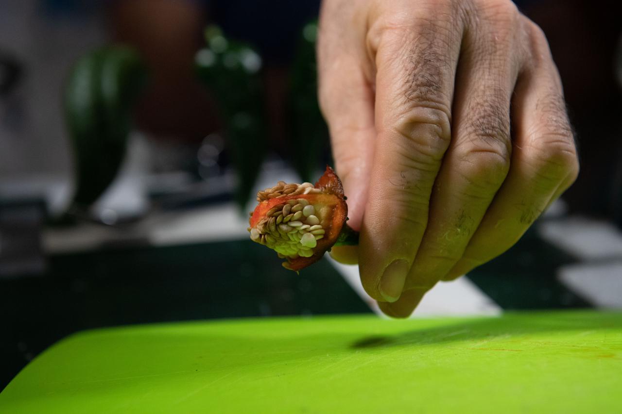 iss066e023185 (October 29, 2021) -- An astronaut cuts slices of red chile pepper during a taste test of chile peppers grown as part of the Plant Habitat-04 investigation aboard the International Space Station. The chile peppers started growing on July 12, 2021, and represent one of the longest and most challenging plant experiments attempted aboard the orbiting laboratory. NASA astronaut Mark Vande Hei conducted the first harvest of the pepper crop on October 29, 2021. Crew members sanitized the peppers and completed a scientific survey after their taste test. The Crew-3 astronauts will take over the crop when they arrive at the orbiting laboratory, and will conduct a final harvest of the peppers in late November. They will also sanitize and sample the crop, and complete surveys. Some peppers from the final harvest and their leaves will return to Earth for further analysis. What we learn will inform future crop growth and food supplementation activities for deep space exploration.
