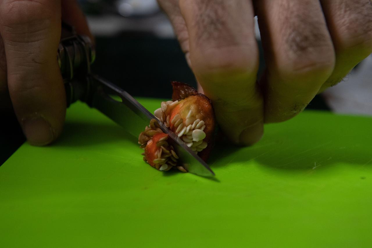 iss066e023187 (October 29, 2021) -- An astronaut cuts slices of red chile pepper during a taste test of chile peppers grown as part of the Plant Habitat-04 investigation aboard the International Space Station. The chile peppers started growing on July 12, 2021, and represent one of the longest and most challenging plant experiments attempted aboard the orbiting laboratory. NASA astronaut Mark Vande Hei conducted the first harvest of the pepper crop on October 29, 2021. Crew members sanitized the peppers and completed a scientific survey after their taste test. The Crew-3 astronauts will take over the crop when they arrive at the orbiting laboratory, and will conduct a final harvest of the peppers in late November. They will also sanitize and sample the crop, and complete surveys. Some peppers from the final harvest and their leaves will return to Earth for further analysis. What we learn will inform future crop growth and food supplementation activities for deep space exploration.