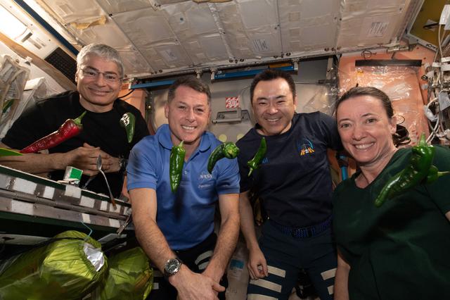 NASA image: Expedition 66 astronauts sample chile peppers grown on the International Space Station