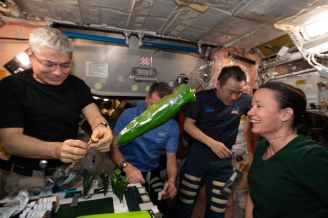 NASA image: Expedition 66 astronauts sample chile peppers grown on the International Space Station