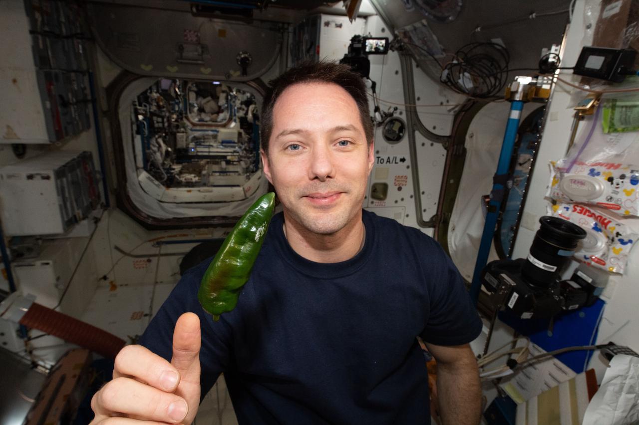 iss066e023273 (October 29, 2021) -- ESA (European Space Agency) astronaut and Expedition 66 commander Thomas Pesquet is seen with a green chile pepper during a taste test as part of the Plant Habitat-04 investigation aboard the International Space Station. The chile peppers started growing on July 12, 2021, and represent one of the longest and most challenging plant experiments attempted aboard the orbiting laboratory. The chile peppers started growing on July 12, 2021, and represent one of the longest and most challenging plant experiments attempted aboard the orbiting laboratory. NASA astronaut and Expedition 66 flight engineer Mark Vande Hei conducted the first harvest of the pepper crop on October 29, 2021. Crew members sanitized the peppers and completed a scientific survey after their taste test. The Crew-3 astronauts will take over the crop when they arrive at the orbiting laboratory, and will conduct a final harvest of the peppers in late November. They will also sanitize and sample the crop, and complete surveys. Some peppers and their leaves from the final harvest will return to Earth for further analysis. What we learn will inform future crop growth and food supplementation activities for deep space exploration.