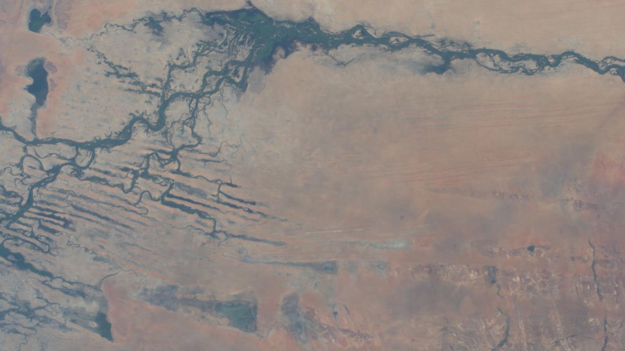 iss066e024016 (Nov. 1, 2021) --- The Niger River in the African nation of Mali is pictured from the International Space Station as it orbited 259 miles above the southwestern Sahara Desert.