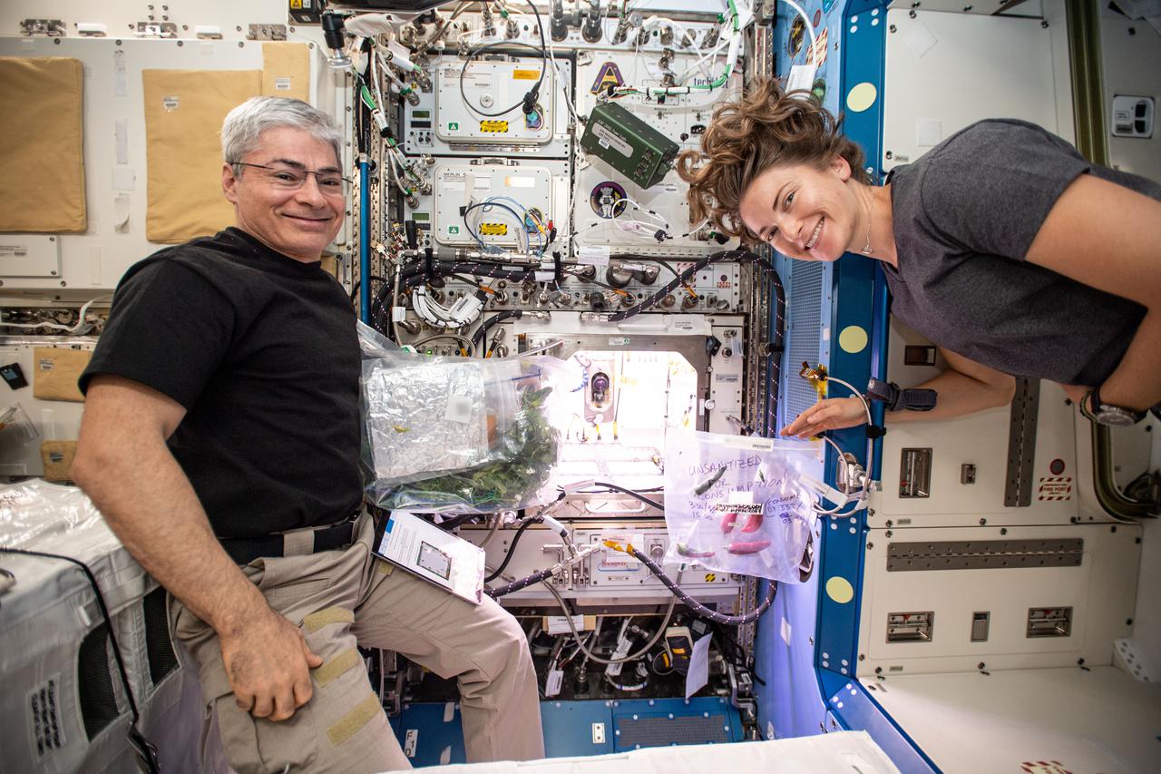 iss066e083427 (Nov. 26, 2021) --- NASA astronauts and Expedition 66 Flight Engineers Mark Vande Hei and Kayla Barron are pictured in front of the International Space Station's Advanced Plant Habitat after harvesting chile peppers grown inside the space botany research device.