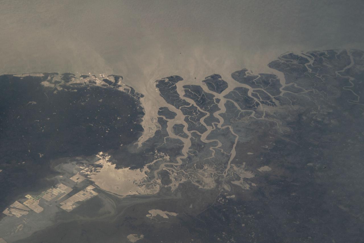 iss066e092052 (Dec. 17, 2021) --- The Pakistan-India border ends on the coast of the Arabian Gulf with the Keti Bender South Wildlife Sanctuary on the Pakistani side and the Kutch Peninsula on the Indian side. This photograph was taken from the International Space Station at an altitude of 263 miles above northwest India.