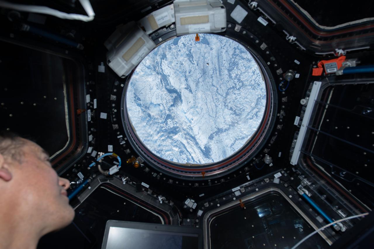 iss066e095334 (Dec. 22, 2021) --- NASA astronaut and Expedition 66 Flight Engineer Thomas Marshburn looks out of the cupola's main window at the approaching SpaceX Cargo Dragon vehicle as the International Space Station orbited 265 miles above northern Ukraine.