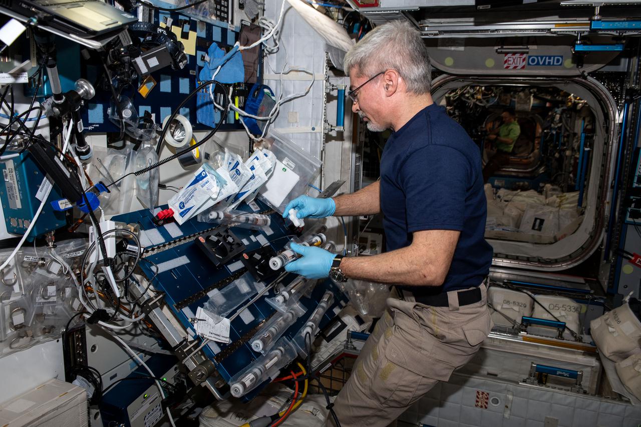 iss066e108292 (Jan. 6, 2022) --- NASA astronaut and Expedition 66 Flight Engineer Mark Vande Hei conducts operations for the Plant Habitat-5 space agriculture experiment that is studying cotton genetics.