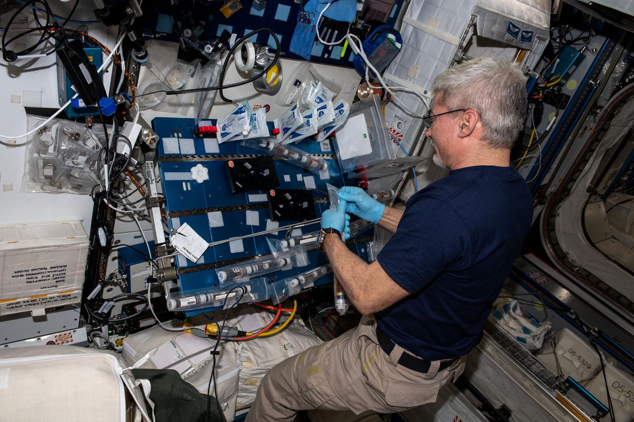 iss066e108295(Jan. 6, 2022) --- NASA astronaut and Expedition 66 Flight Engineer Mark Vande Hei conducts operations for the Plant Habitat-5 space agriculture experiment that is studying cotton genetics.