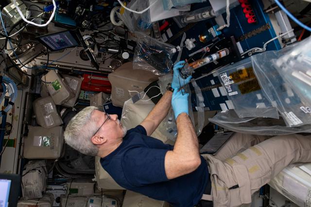 NASA image: iss066e110821