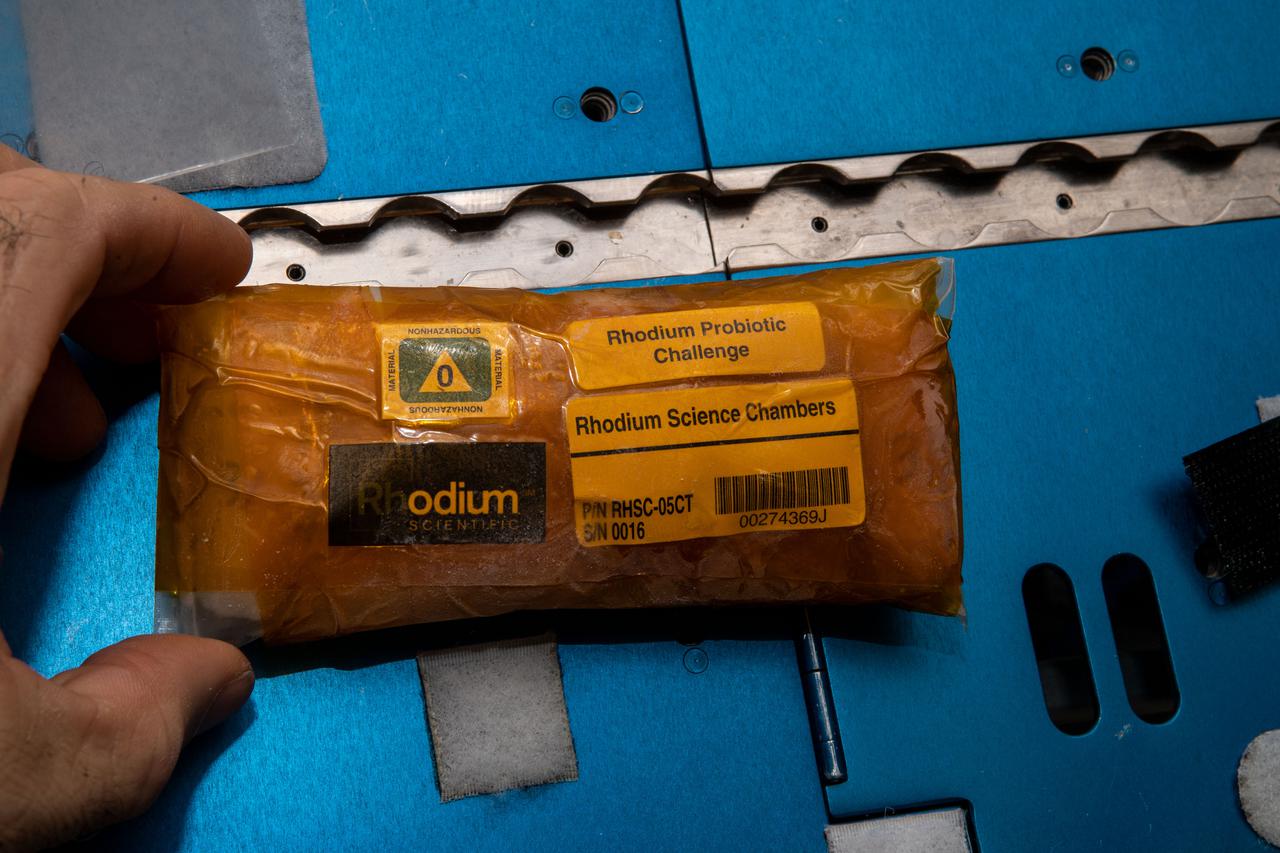 iss066e110835 (1/11/2022) --- A view of the Rhodium Probiotic Challenge samples aboard the International Space Station (ISS). the Swinburne Youth Space Innovation Challenge 2021: Microgravity Production of a Probiotic Yoghurt Using Active Bacterial Cultures (Rhodium Probiotic Challenge) tests methods for producing yoghurt in space.