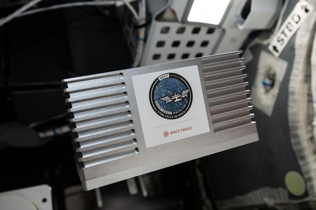 NASA image: iss066e110840