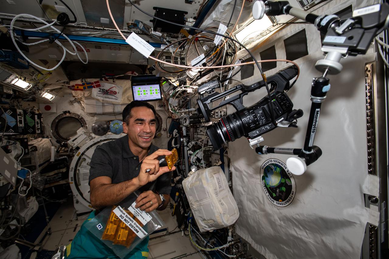 iss066e123190 (Jan. 20, 2022) --- NASA astronaut Engineer Raja Chari gathers items for the Rhodium Synthetic Cryptobiology experiment for packing inside the SpaceX Cargo Dragon resupply ship. Results from the biotechnology study could help create more rugged biological components and advance these technologies for use in space and in extreme environments on Earth.