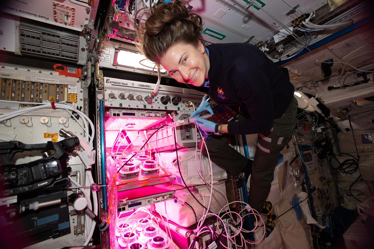 iss066e136343 (Feb. 5, 2022) --- NASA astronaut and Expedition 66 Flight Engineer Kayla Barron works with the Veggie PONDS space agriculture experiment that explores how to grow fresh food during long-term spaceflight missions.
