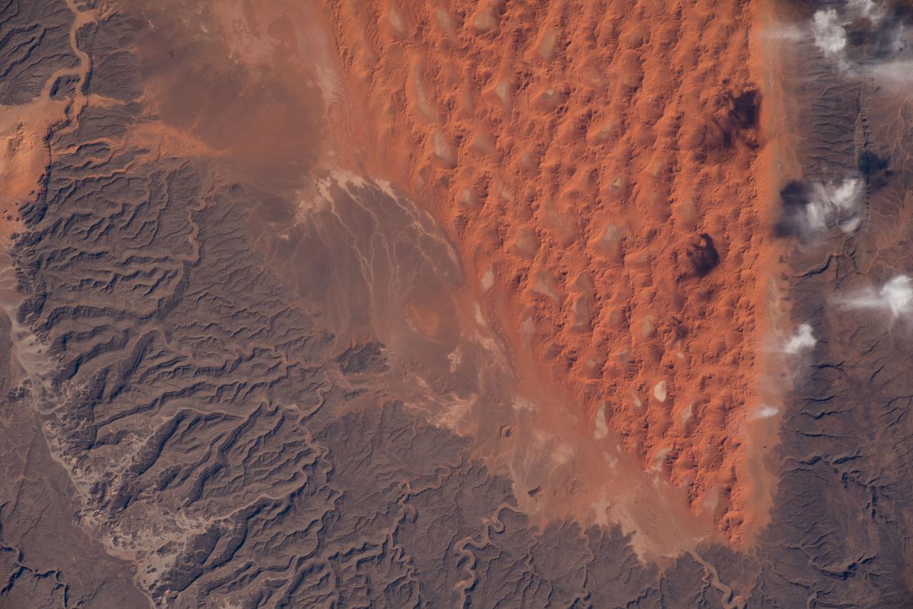 iss066e137392 (Feb. 7, 2022) --- A portion of the Sahara Desert in Algeria, with sand dunes, rocky platforms and sandstone plateaus, is pictured from the International Space Station as it orbited 259 miles above the African nation.