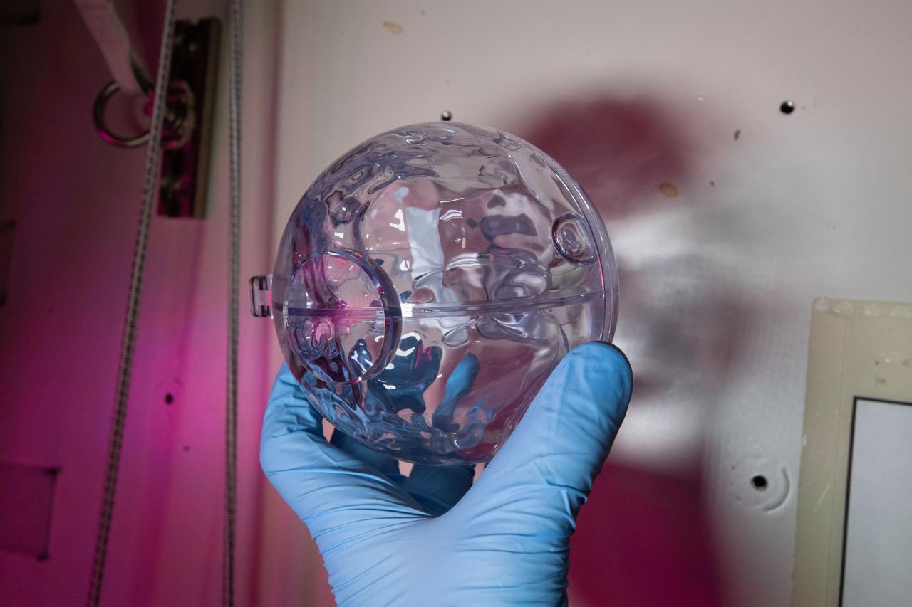 iss066e146847 (2/22/2022) --- A view of a transparent FLUIDICS sphere aboard the International Space Station (ISS).  The FLUIDICS investigation evaluates the Center of Mass (CoM) position regarding a temperature gradient on a representation of a fuel tank. The observation of capillary wave turbulence on the surface of a fluid layer in a low-gravity environment can provide insights into measuring the existing volume in a sphere.