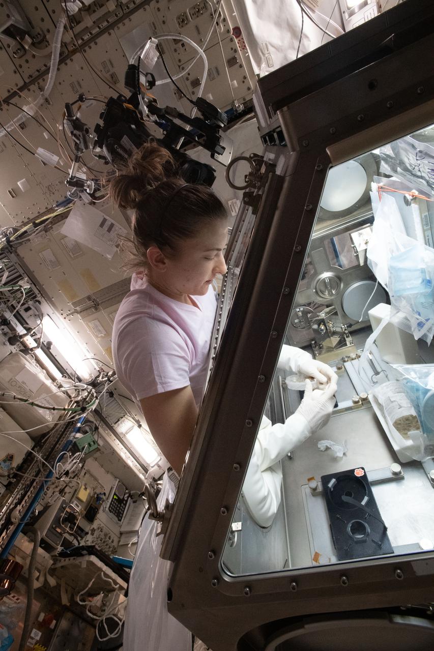 iss066e153063 (Fab. 29, 2022) --- NASA astronaut and Expedition 66 Flight Engineer Kayla Barron works inside the Life Science Glovebox conducting botany research for the Plant Habitat-05 investigation. The space agriculture study explores genetic expression in cotton cultures to learn more about the process of plant regeneration possibly improving crop production on Earth.
